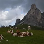 Cesa Fossal * Colle Santa Lucia
