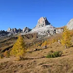Cesa Fossal
